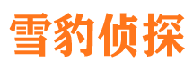 渭滨侦探公司